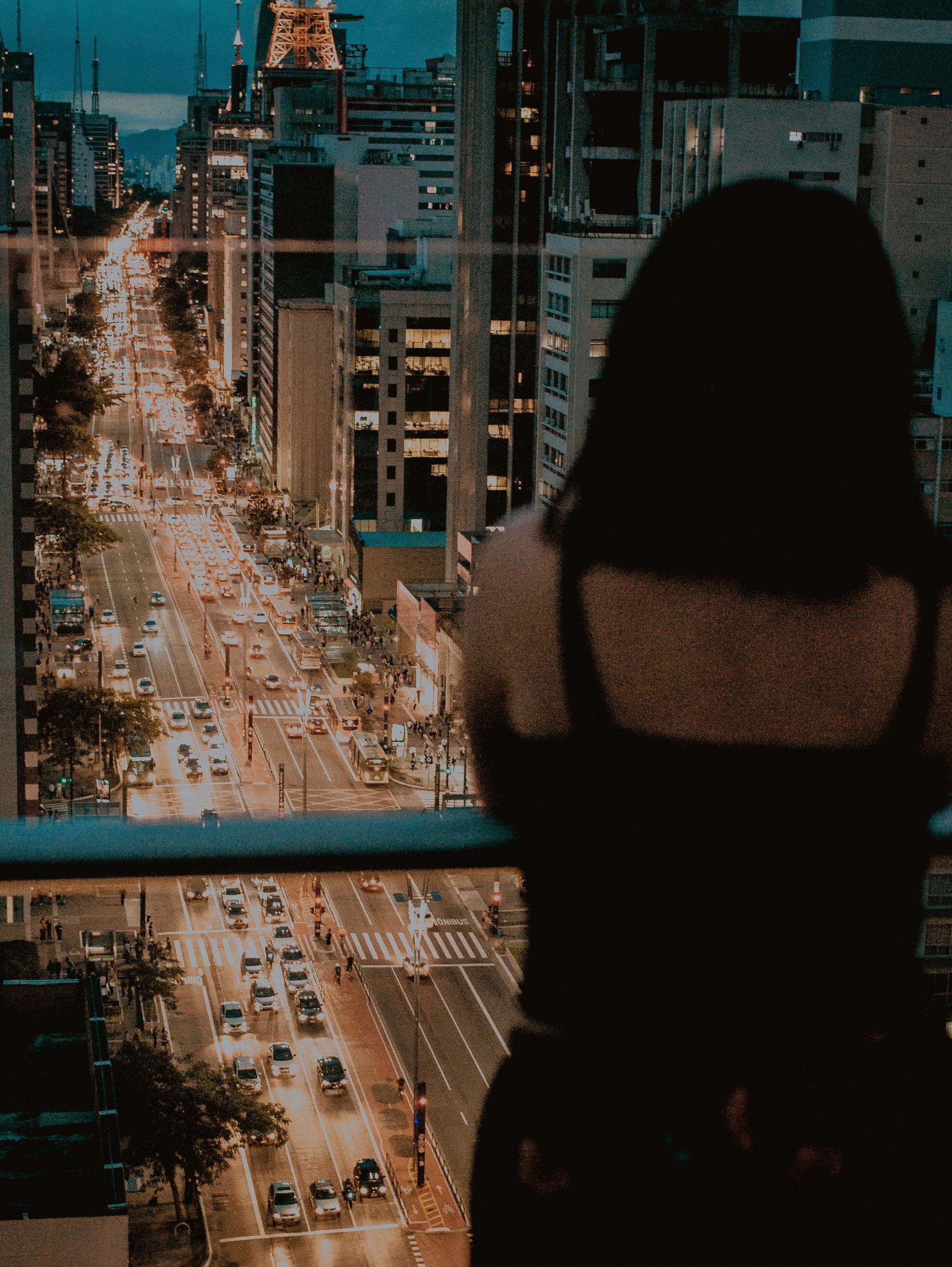 pexels victor hugo 1232879 2562701